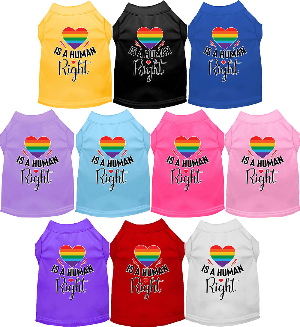 Pride Pet Shirts