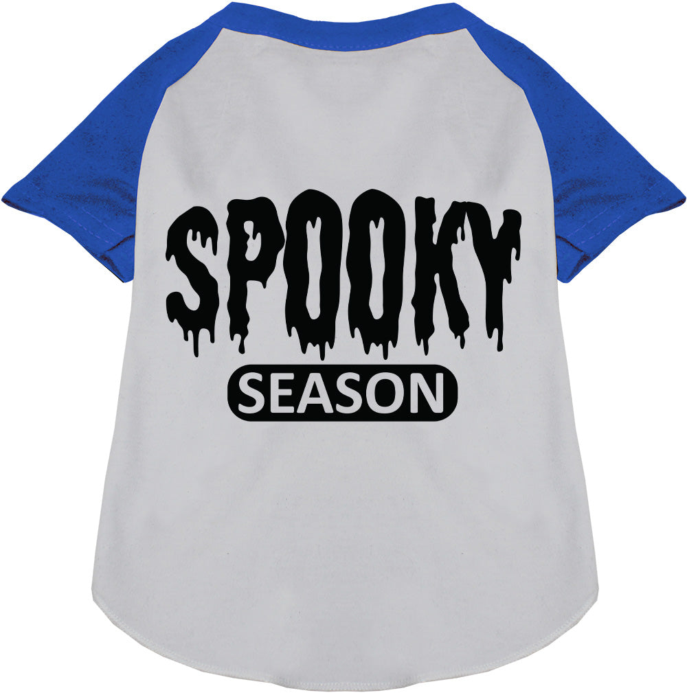 Gray and blue spooky season pet raglan shirt