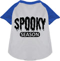 Gray and blue spooky season pet raglan shirt
