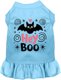 Blue Hey Boo! Pet Dress with bat design