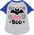 Blue Hey Boo! Pet Raglan Shirt with bat design