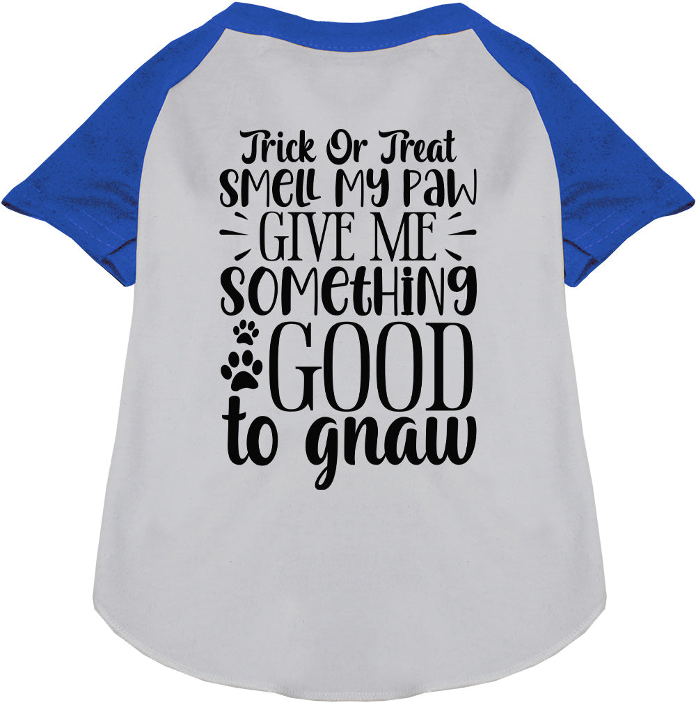 Blue sleeve Good to Gnaw pet raglan shirt