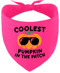 Coolest Pumpkin Pet Bandana