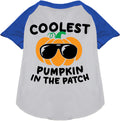 Blue Coolest Pumpkin Pet Raglan Shirt