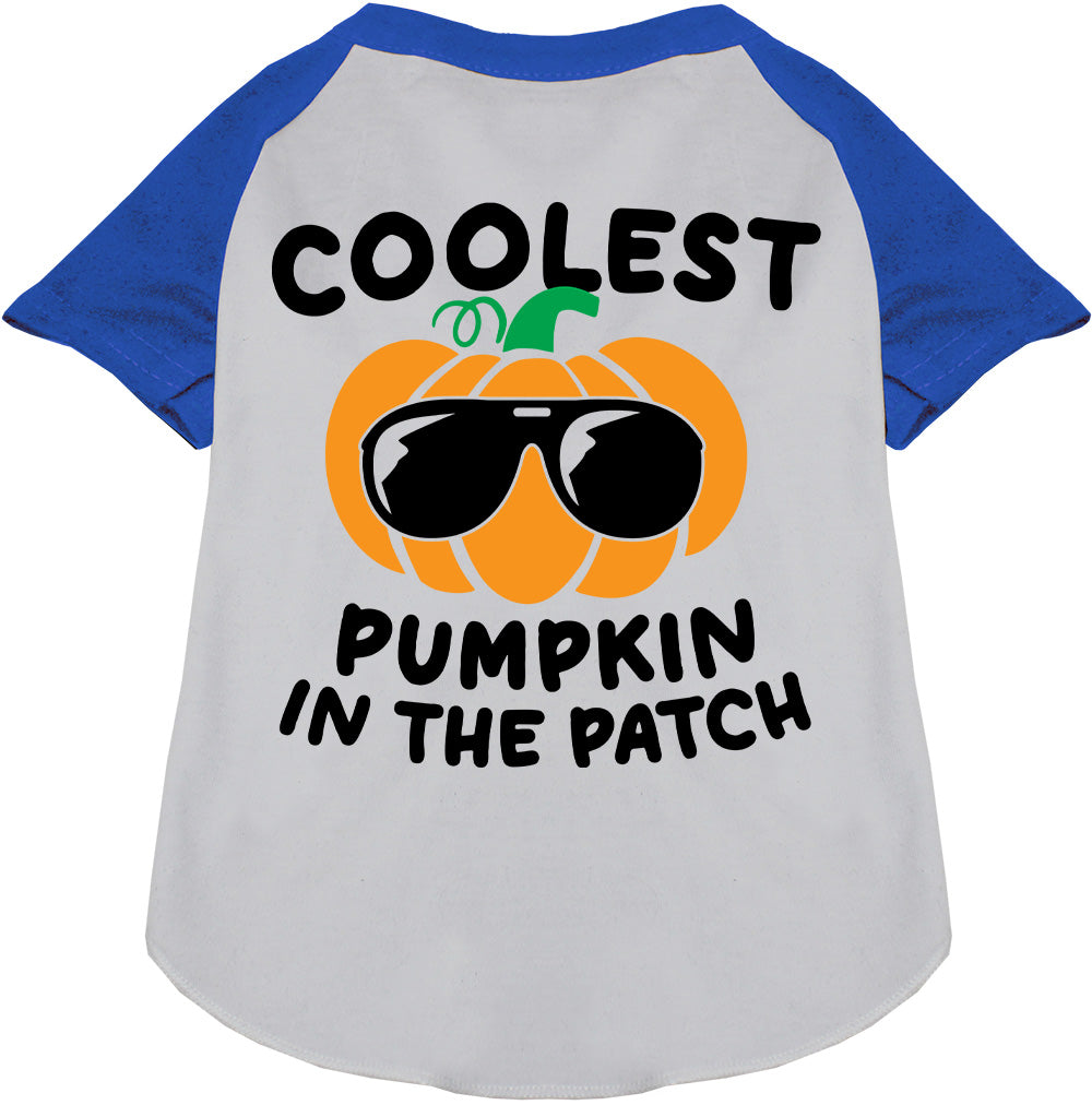 Blue Coolest Pumpkin Pet Raglan Shirt