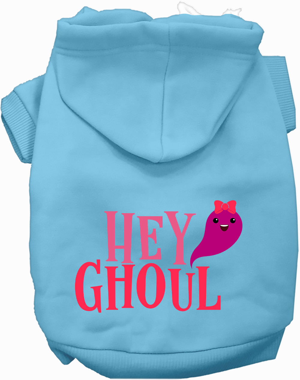 Light blue Hey Ghoul pet hoodie with cute ghost design