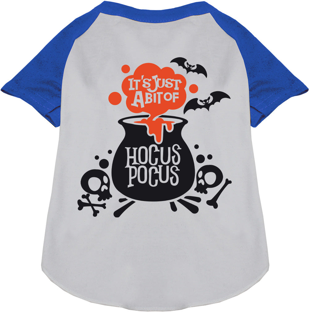 Blue-sleeved Hocus Pocus pet raglan shirt with cauldron design