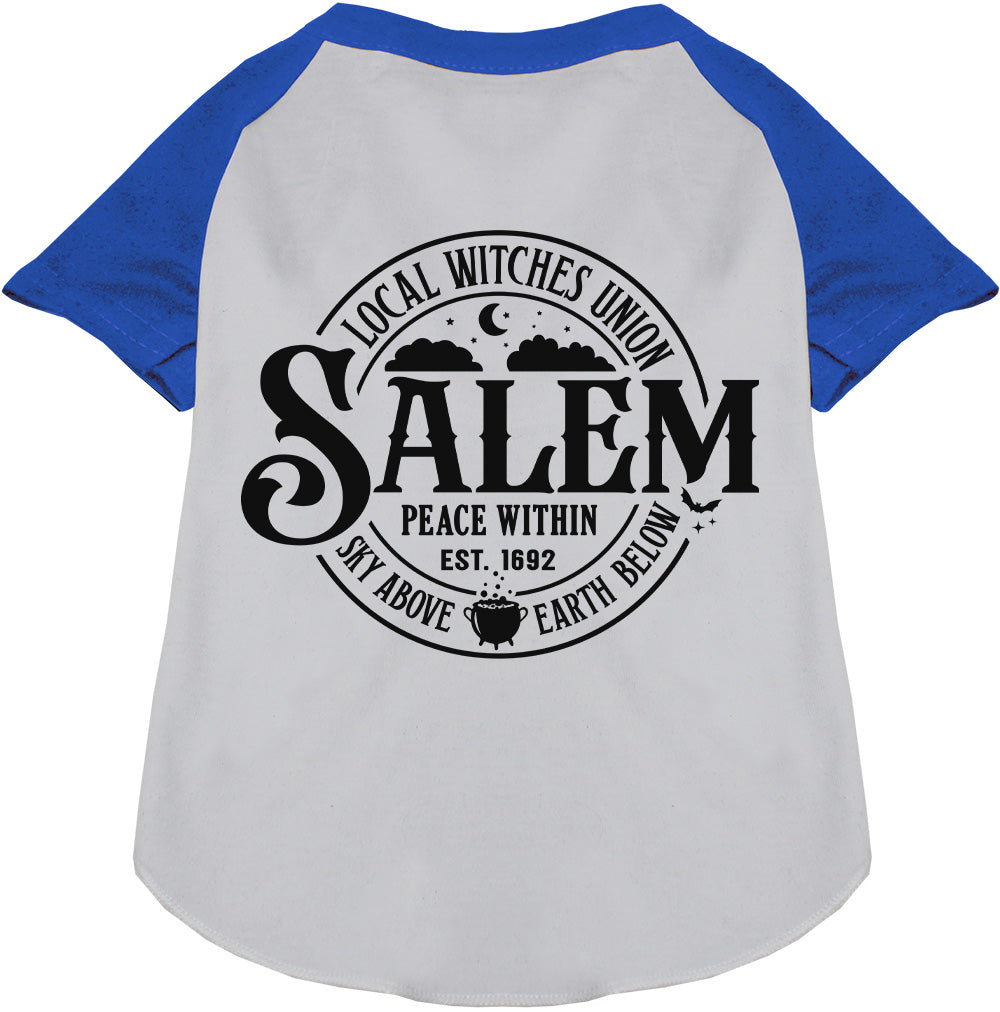 Blue Salem Witches Union pet raglan shirt