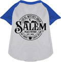 Blue Salem Witches Union pet raglan shirt