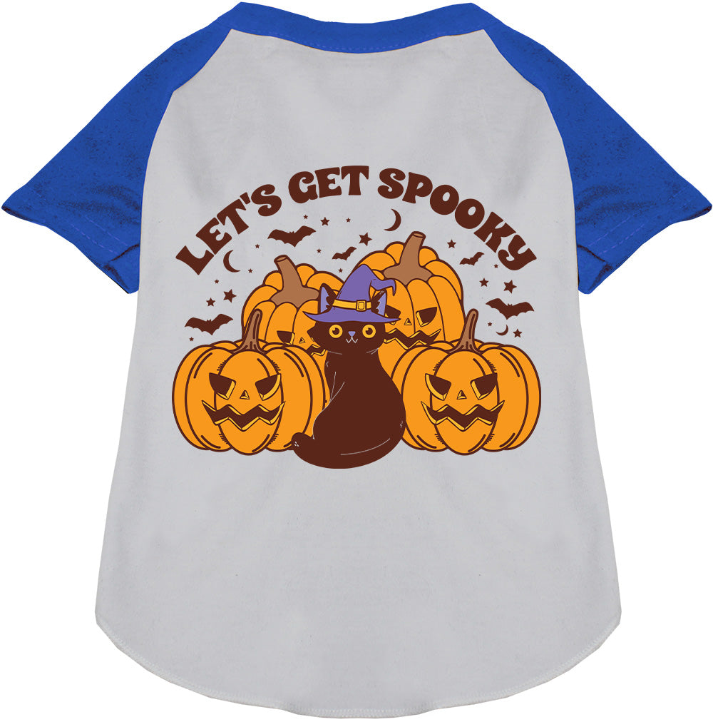 Blue spooky pet raglan shirt with pumpkins and cat