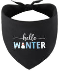 Hello Winter Pet Bandana