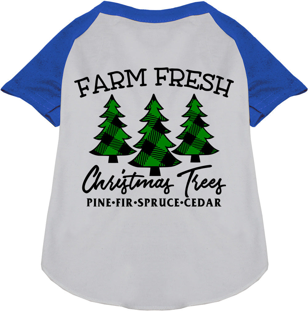 Farm Fresh Christmas Trees blue pet raglan shirt