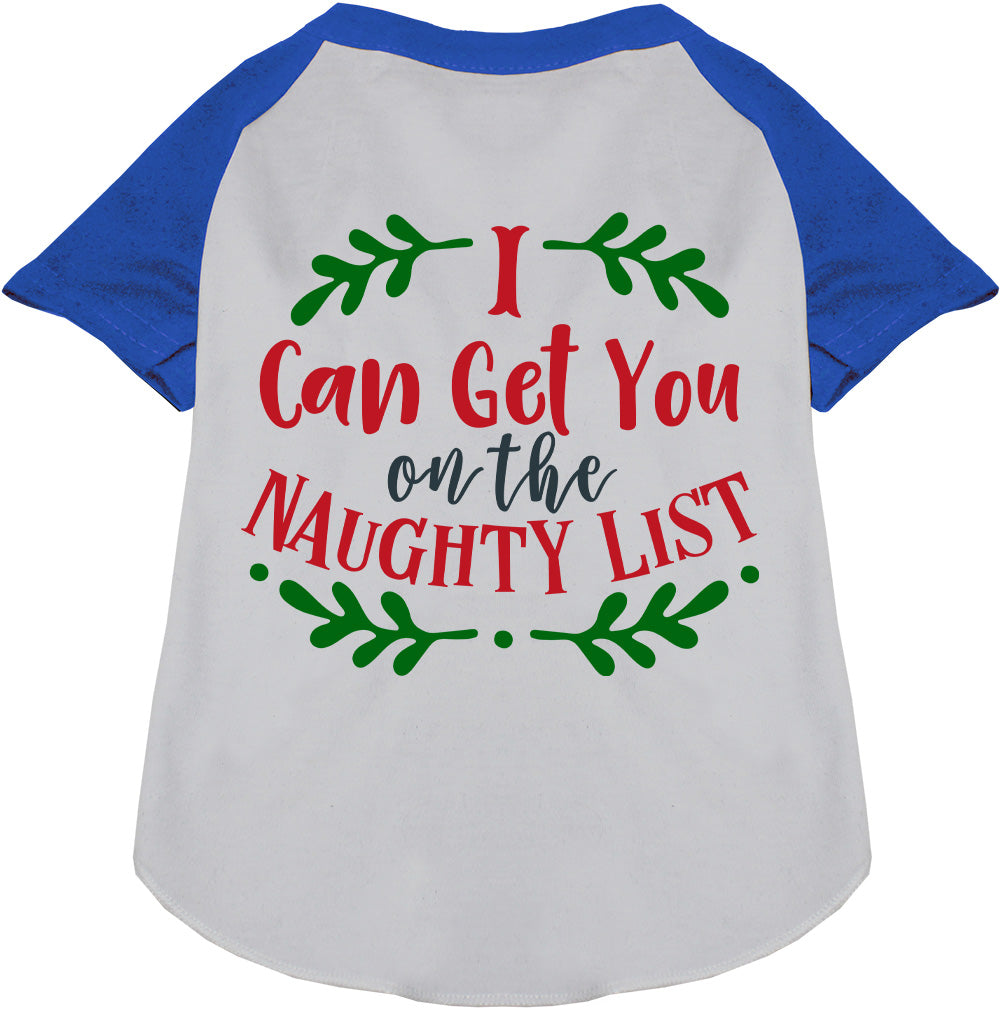 Blue sleeve pet raglan shirt with 'I Can Get You on the Naughty List' design