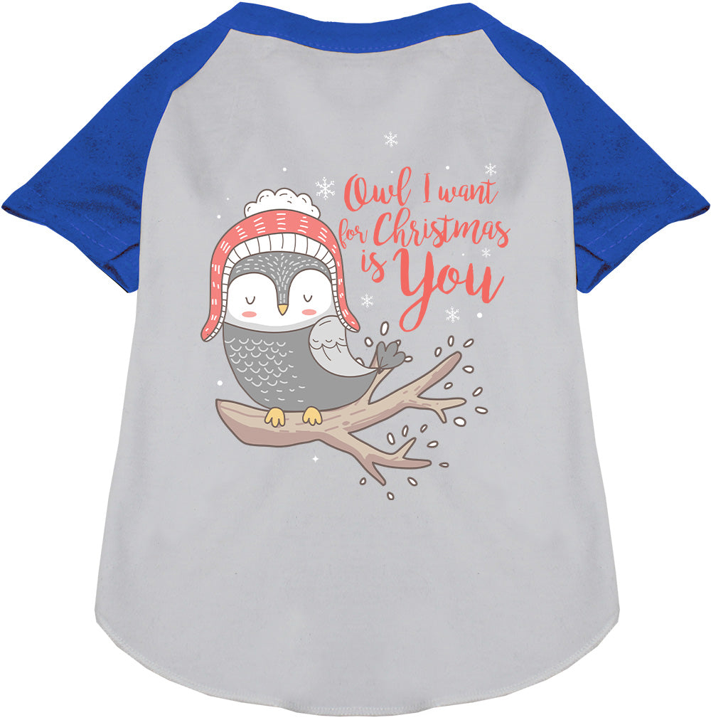 Blue pet raglan shirt with owl Christmas design