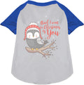 Blue pet raglan shirt with owl Christmas design