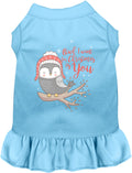 Blue pet dress with owl Christmas design
