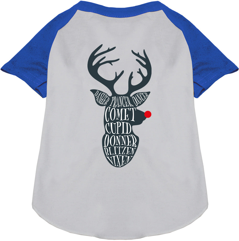 Blue-sleeved Santa's Deer Pet Raglan Shirt