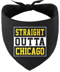 Straight Outta Chicago Pet Bandana