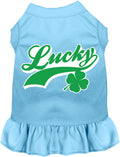Lucky Swoosh Pet Dress