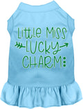 Little Miss Lucky Charm Pet Dress
