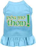 Pog Mo Thoin Pet Dress