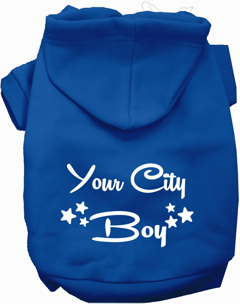 Custom Boy Pet Hoodie