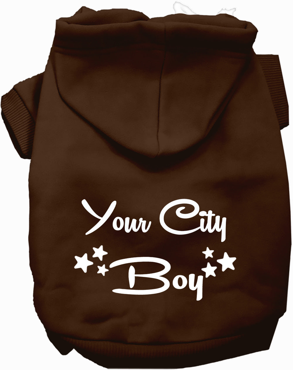 Custom Boy Pet Hoodie