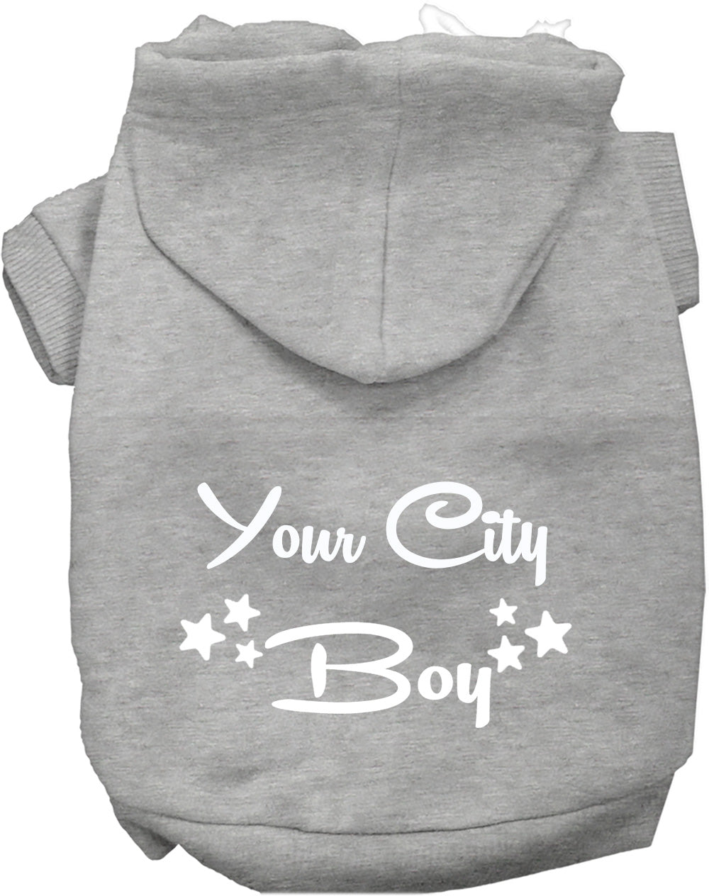 Custom Boy Pet Hoodie