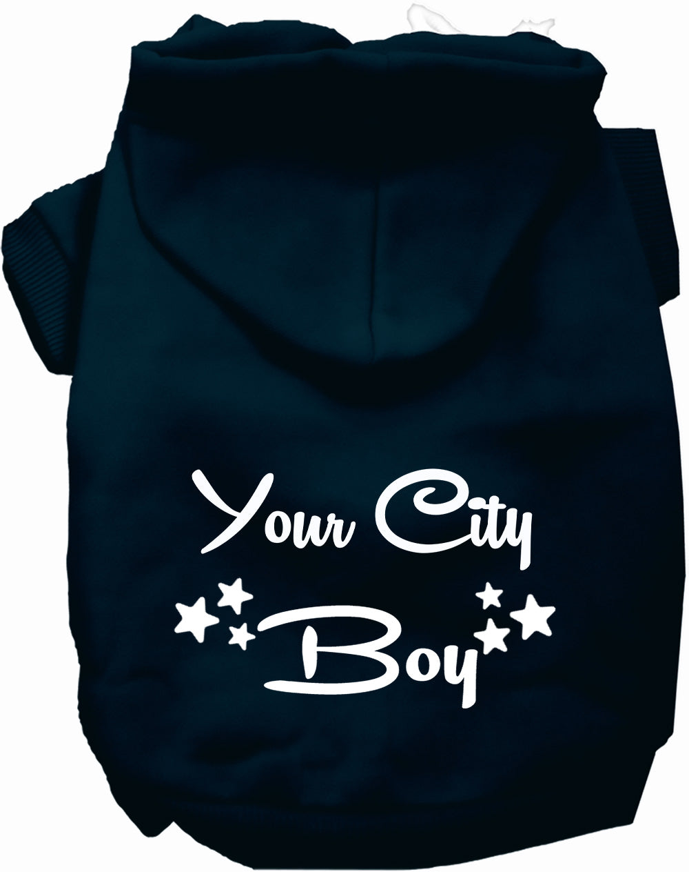 Custom Boy Pet Hoodie