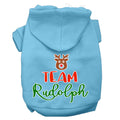 Christmas Pet Hoodie Screen Printed, "Team Rudolph"