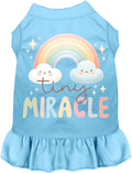 Tiny Miracle Pet Dress