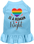 Love is a Human Right Pet Dress