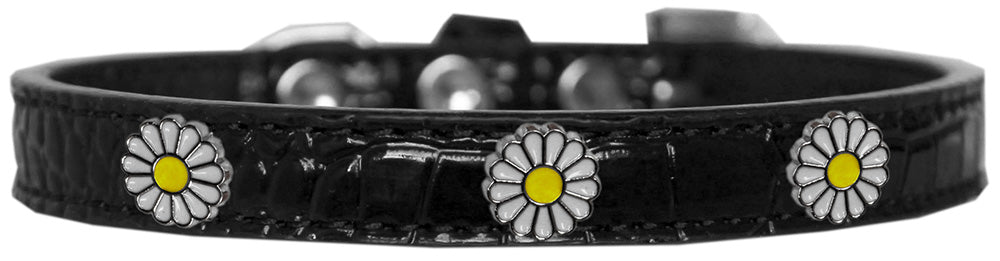 Halsband mit Designer-Croc-Widget für Hunde, Welpen und Haustiere, „Weiße Gänseblümchen“