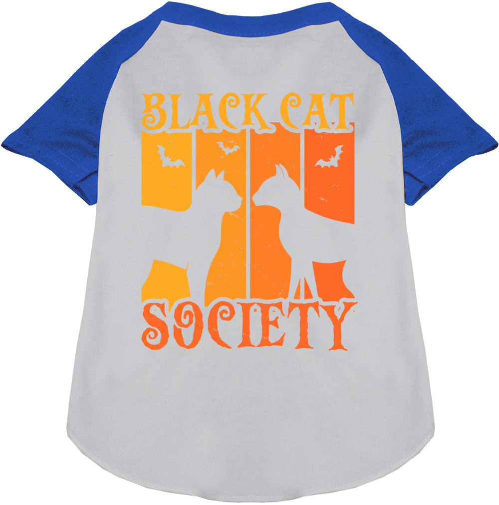 Gray Black Cat Society pet raglan shirt with blue sleeves