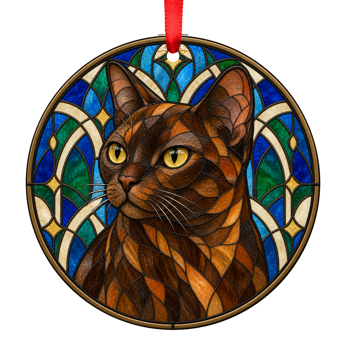 European Burmese Brown Tortoiseshell ORN-10681