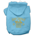 Christmas Pet Hoodie, "Golden Christmas Present"