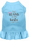 Pet Dog & Cat Dress Screen Printed, "The Bunny Is My Bestie"
